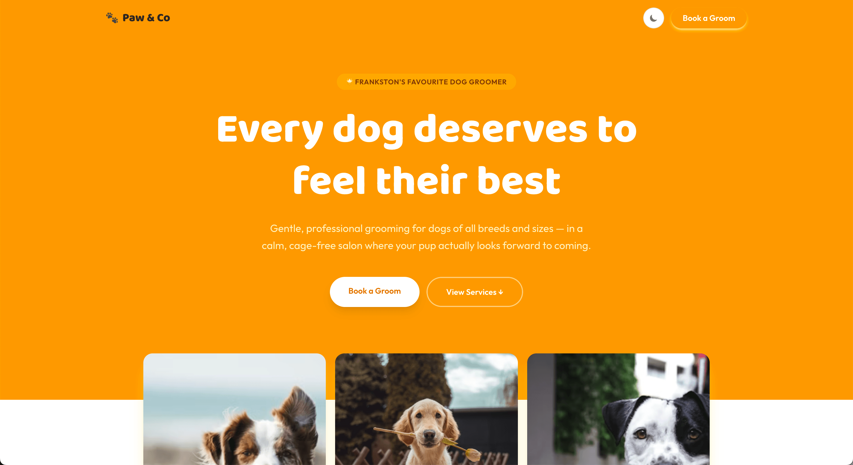 Mutts & Cutts template preview